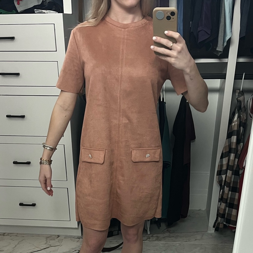 Zara pink suede shift dress